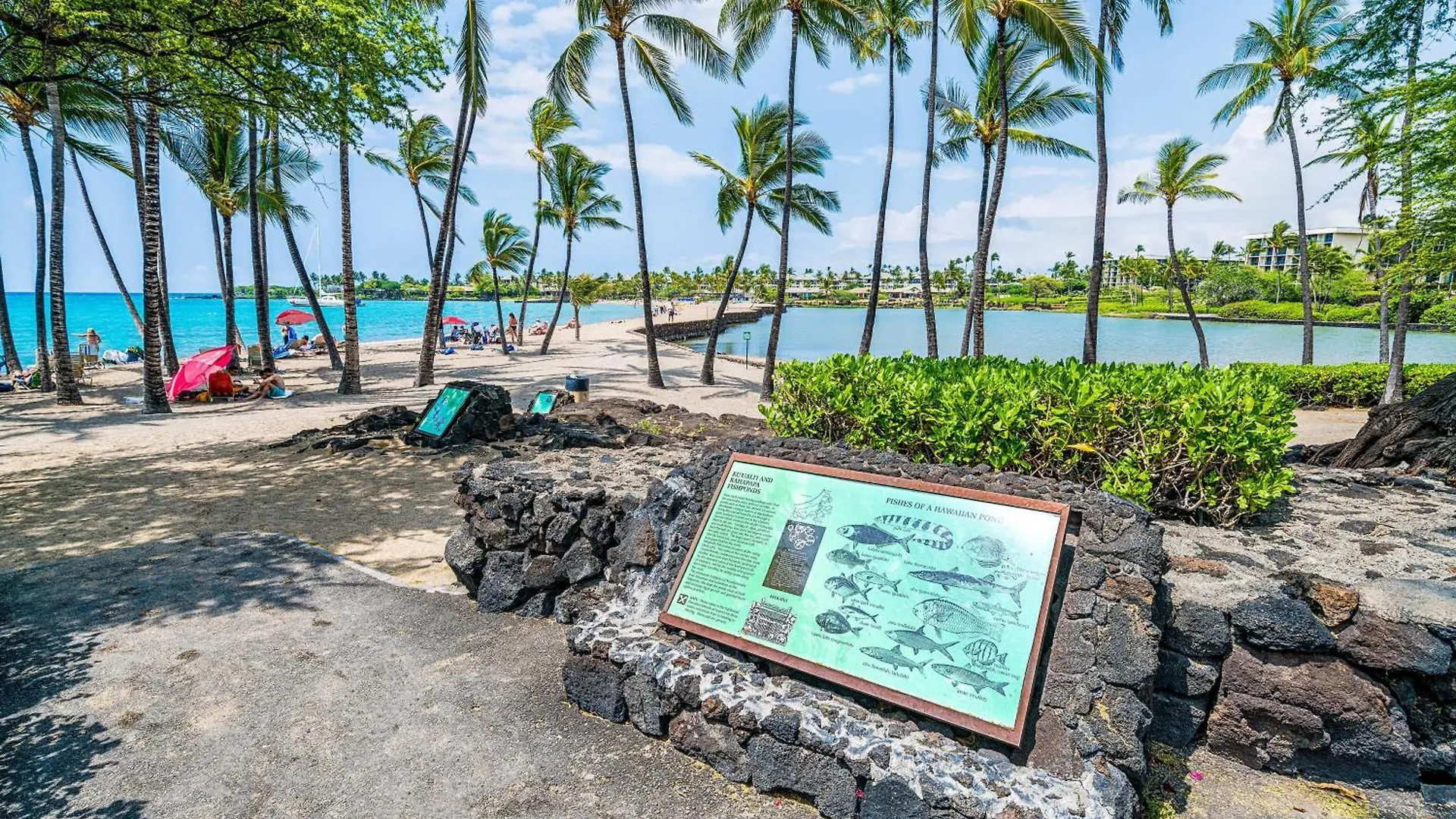 The Shores At Waikoloa 117 0*,